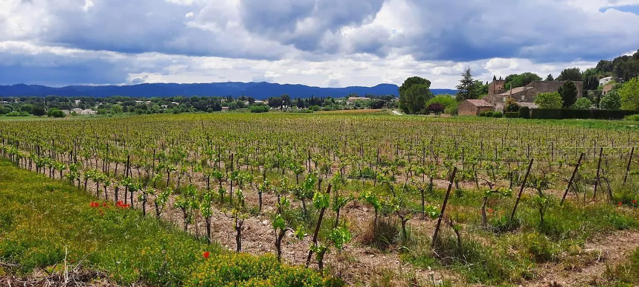 Domaine Des Francobelges - Appartements Lauris 0*,